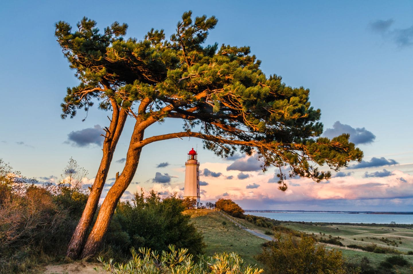 Nationalpark Vorpommersche Boddenlandschaft