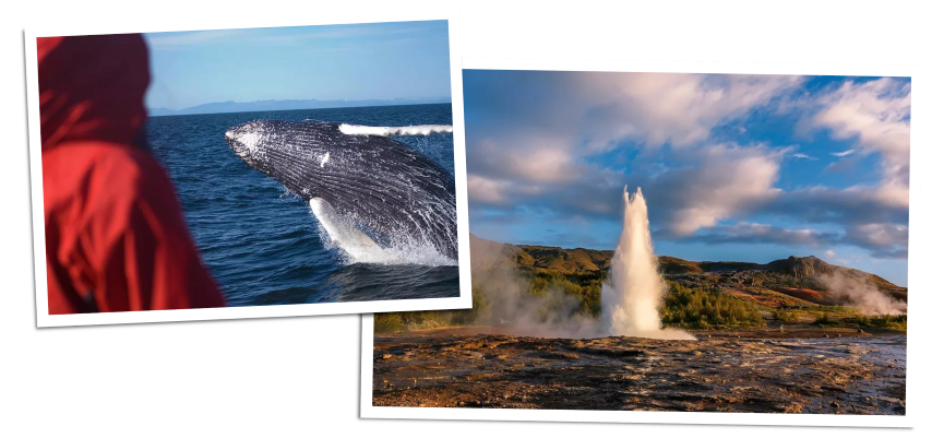 Sommereventyr på Island