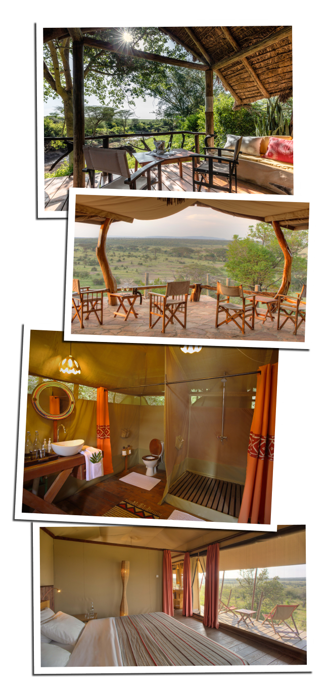 Overnatning Masai Mara & Naboisho