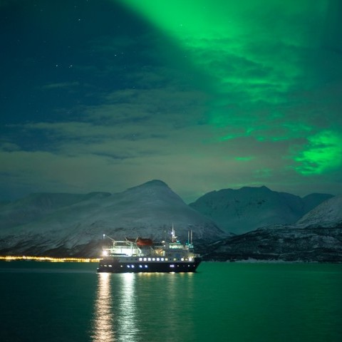24-timer hvalsafari- og nordlyscruise