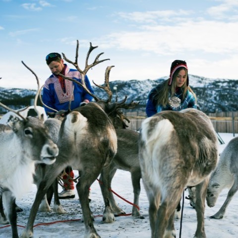 Mød de lokale samer