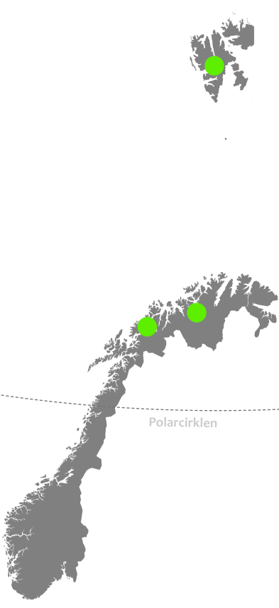 Hvor kan man opleve nordlyset? 