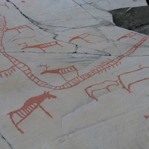 Lufthavnstransfer, kongekrabbe & Alta museum