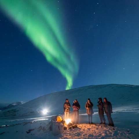 Nordlyssafari, Tromsø