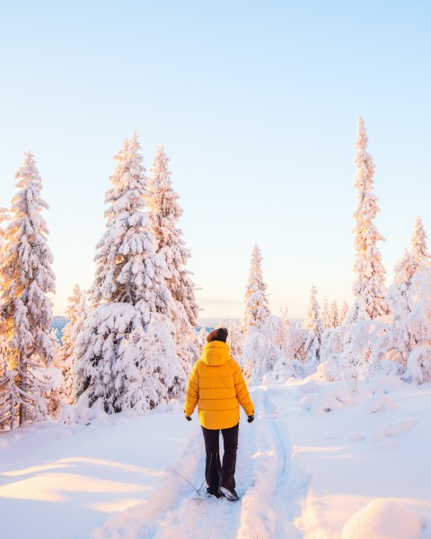 Vinter i Finnmark