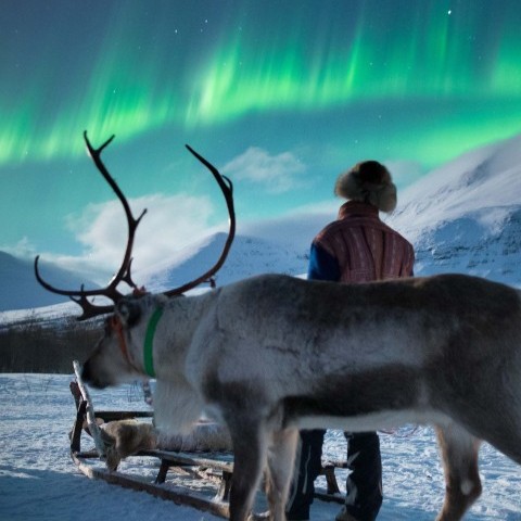 Togrejse gennem Lapland