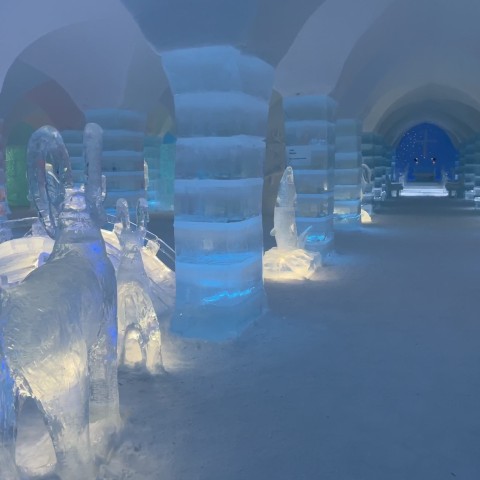 Sorrisniva Igloo Hotel