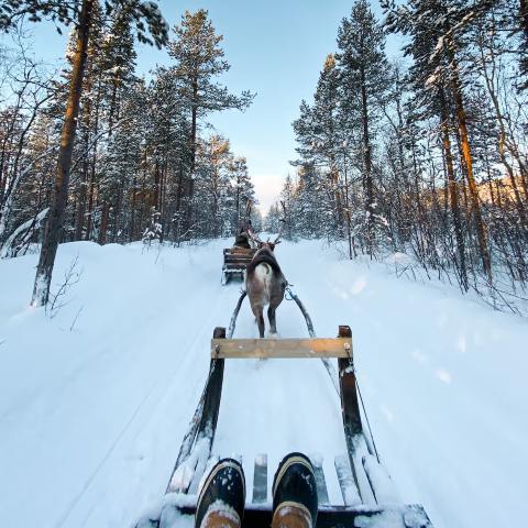 Nordlysoplevelse i Nordnorge