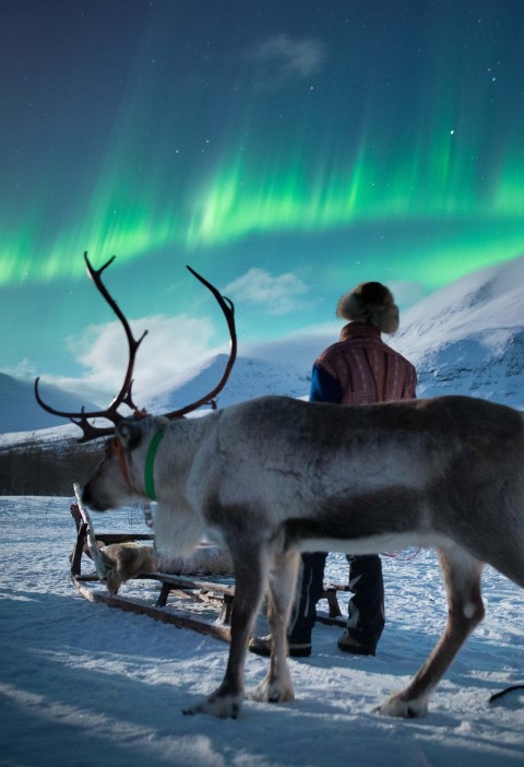 Hvad er sandsynligheden for at opleve nordlys? Hvad er sandsynligheden for at opleve nordlys?