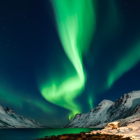 Hvad er sandsynligheden for at opleve nordlys i Tromsø?