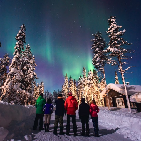 Hvornår er det bedst at rejse for at opleve nordlys i Tromsø?