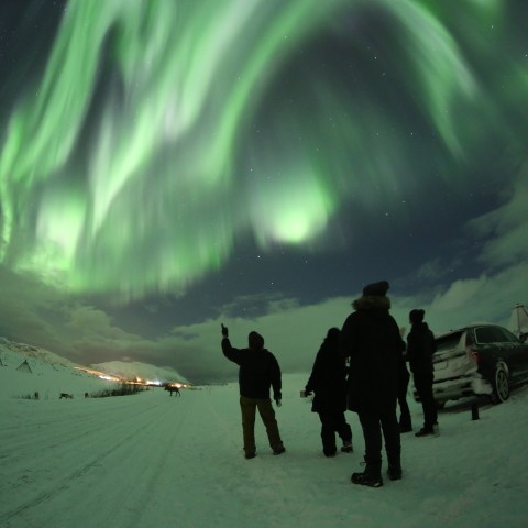 Hvordan øger man sine chancer for at opleve nordlys i Tromsø?