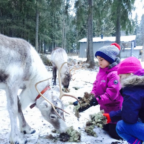 Isfiskeri i Lapland Isfiskeri i Lapland