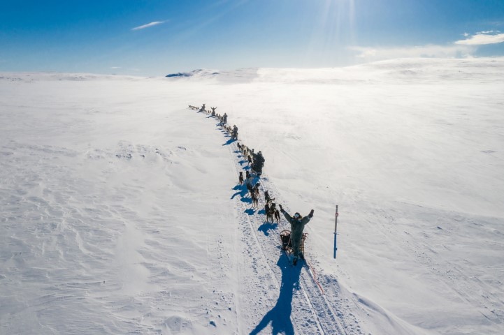 Hundeslæde i Nordnorge